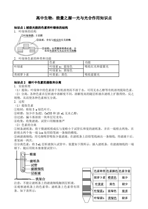 高中生物：能量之源—光与光合作用知识点