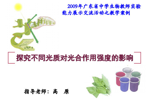 【高中生物】探究不同光质对光合作用强度的影响ppt