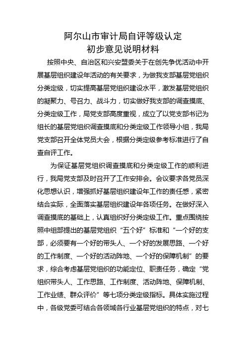 自查报告 基层党组织分类定级说明文件