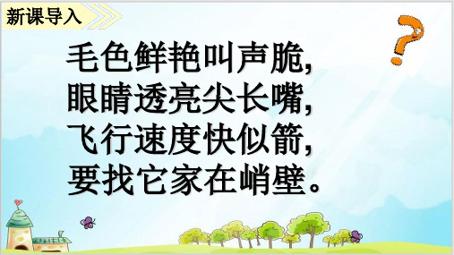 部编教材三年级上册语文《搭船的鸟》优秀ppt课件