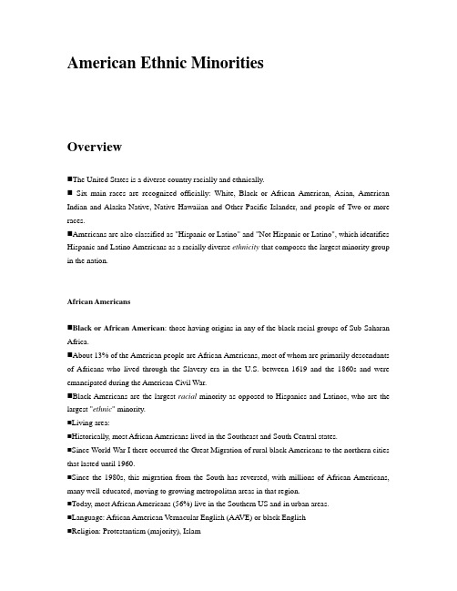 美国文学——Ethnic_Minorities