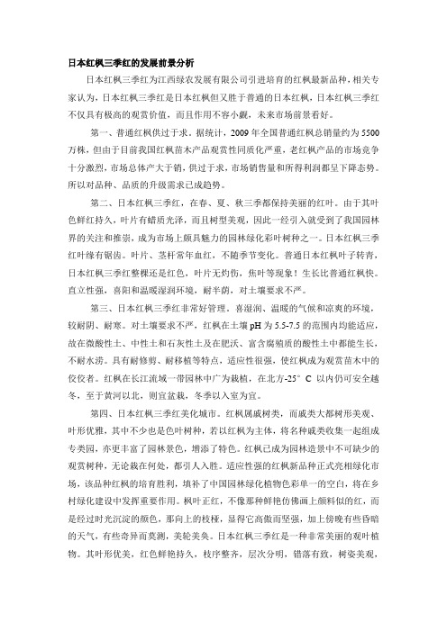 日本红枫三季红的发展前景分析