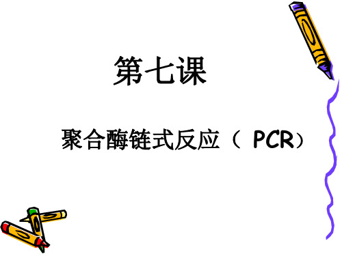 第七课 聚合酶链式反应(PCR)