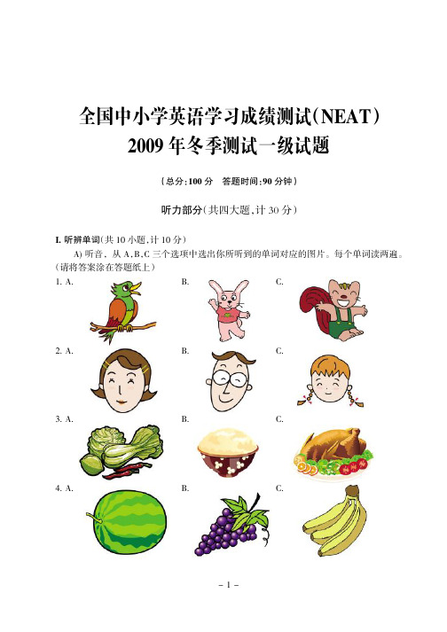 neat2009年冬季一级笔试