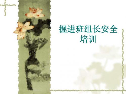 掘进班组长安全培训课件(PPT 58张)