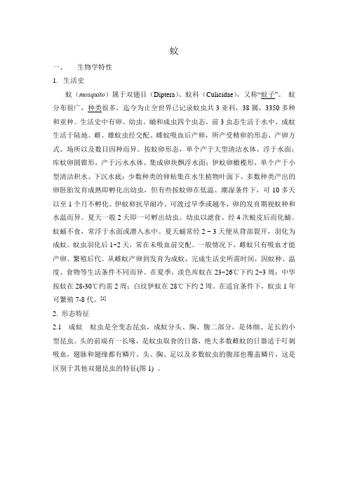 蚊子简介