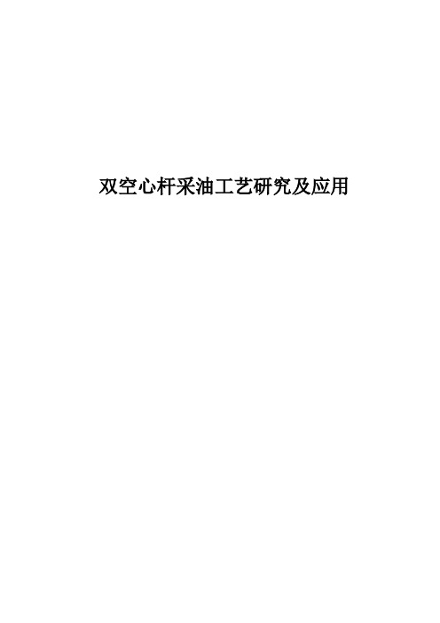 双空心杆采油工艺研究