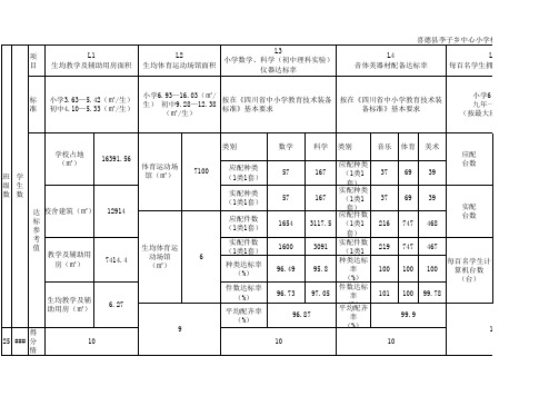 基本办学条件主要指标达标情况打分表(L1至L10)2019