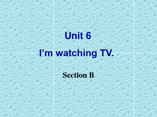 (2012年新版)人教新目标七年级英语下册_Unit6_I’m_watching_TV_Section_B_优秀课件