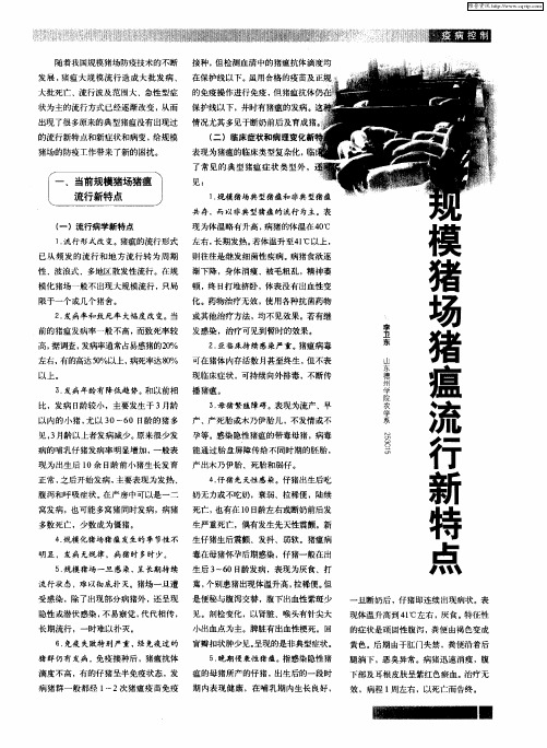 规模猪场猪瘟流行新特点