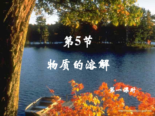 初中科学浙教版八年级上册物质的溶解ppt课件