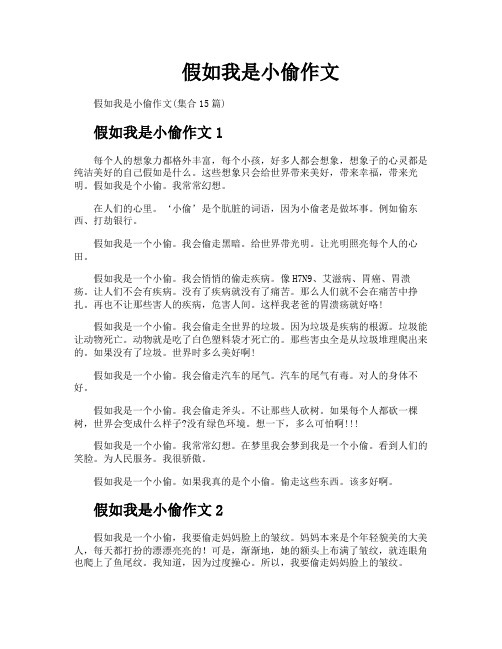 假如我是小偷作文