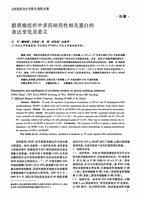 胶质瘤组织中多药耐药性相关蛋白的表达变化及意义