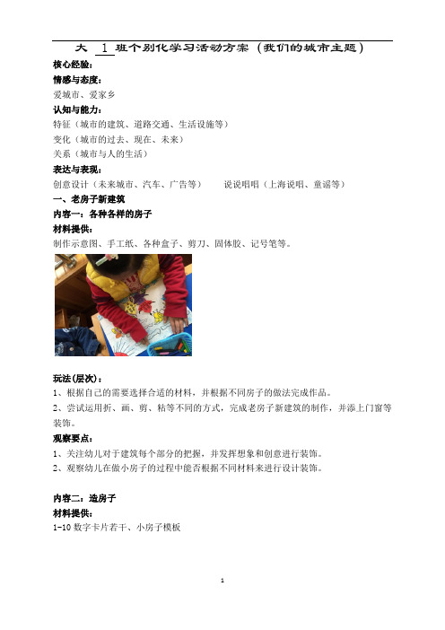 幼儿园大班区域活动个别化学习方案(我们的城市)