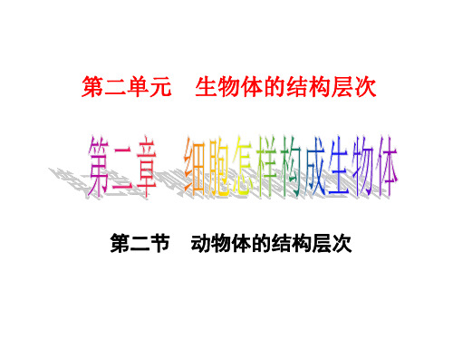 第二单元第二章第二节动物体的结构层次精品PPT课件