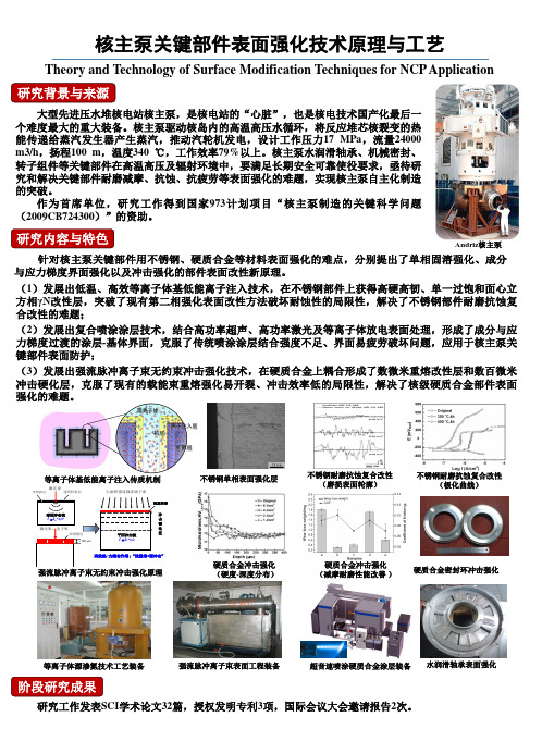 大连理工大学科技成果——核主泵关键部件表面强化技术原理与工艺