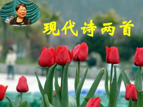 6《现代诗两首·长城谣·一片槐树叶》课件1