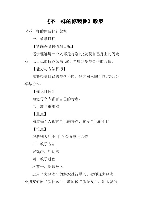 《不一样的你我他》教案