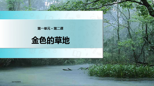 三年级语文上册 第一单元 2《金色的草地》精品课件