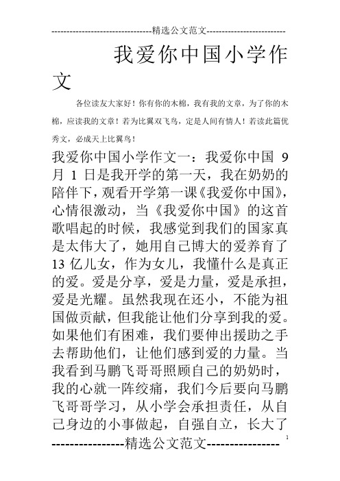 我爱你中国小学作文