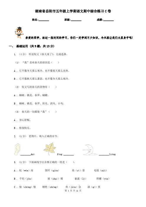 湖南省岳阳市五年级上学期语文期中综合练习C卷