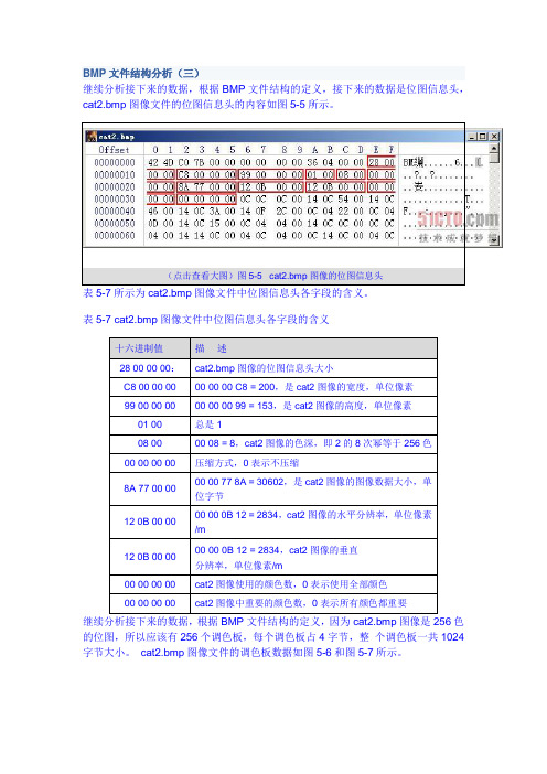 BMP文件结构分析