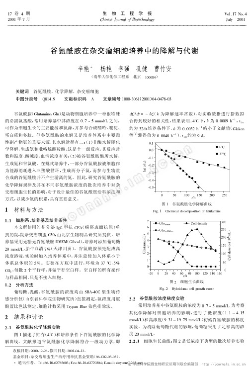 谷氨酰胺在杂交瘤细胞培养中的降解与代谢