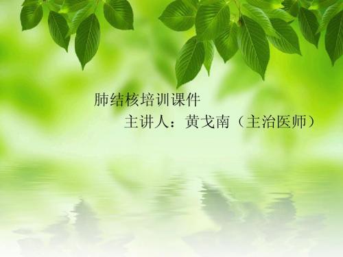 肺结核课件