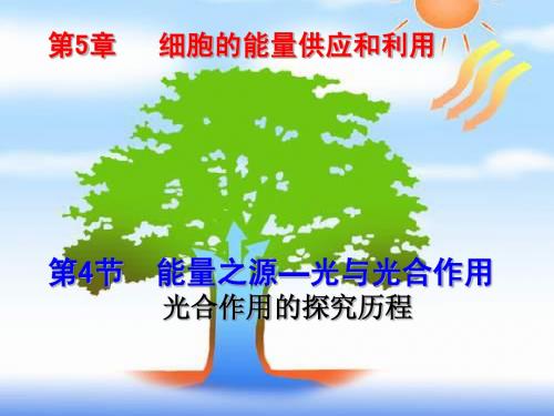上课用《能量之源——光与光合作用》PPT课件