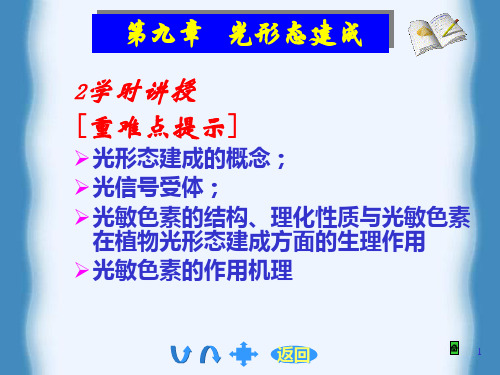 第9章光形态建成1_PPT课件