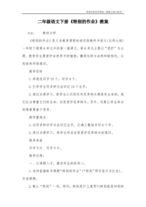 二年级语文下册《特别的作业》教案