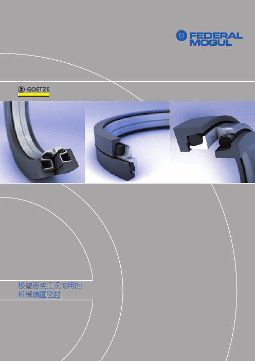 极端恶劣工况专用的机械端面密封-Federal-Mogul