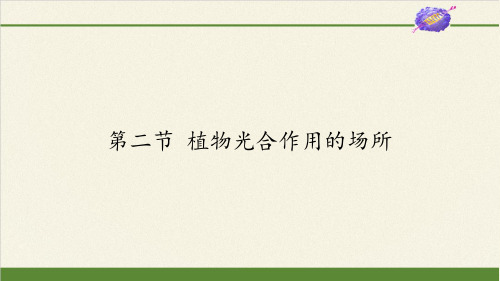 苏教版七年级生物上册 第六章 第二节  植物光合作用的场所 课件