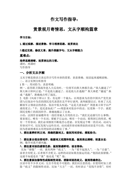 文从字顺作文写作指导