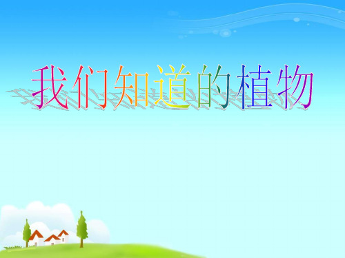 一年级上册科学课件-1.1《我们知道的植物》 ｜教科版 (共张PPT)