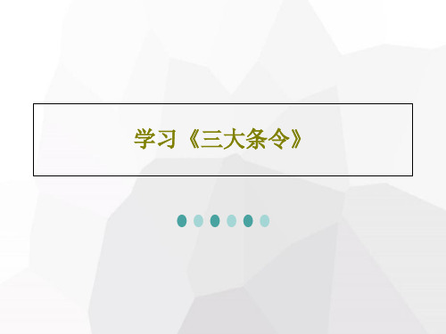 学习《三大条令》PPT27页