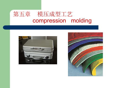 模压成型工艺