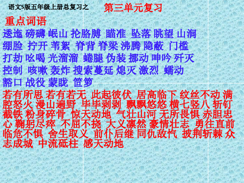 (语文s版)五年级语文上册第三单元期末复习 课件(共21张PPT)