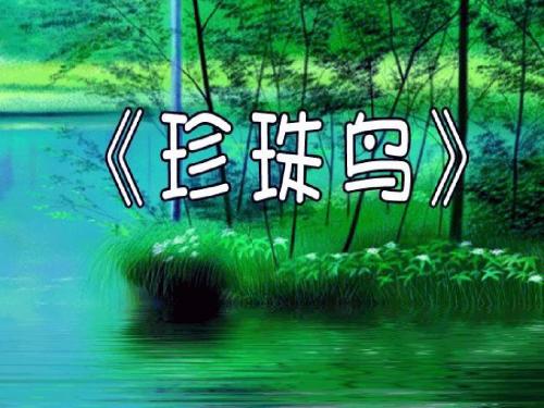 《珍珠鸟》(1)