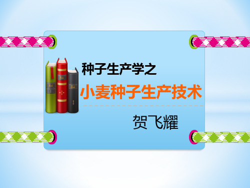 种子生产学小麦种子生产技术