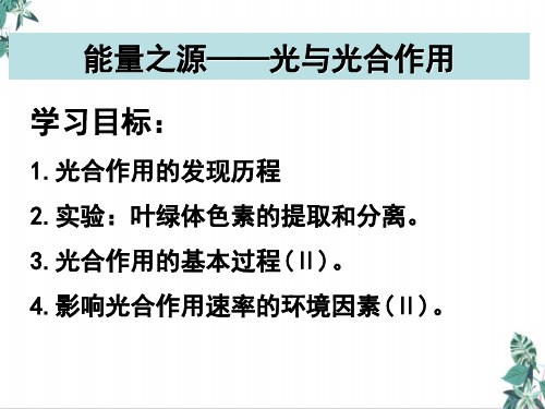 高考生物必修人教版光合作用及影响因素课件