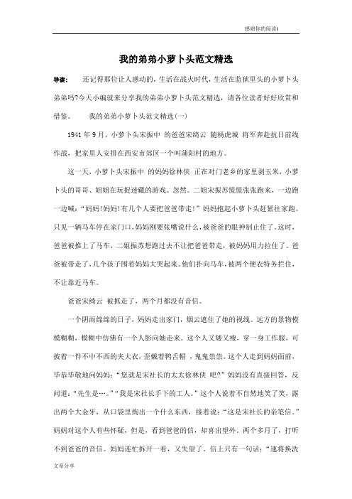 我的弟弟小萝卜头范文精选