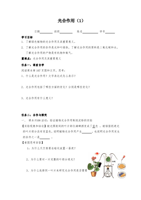 浙教版八年级科学光合作用导学案