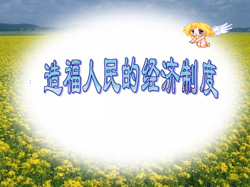 九年级政治 《造福人民的经济制度》课件 人教新课标版