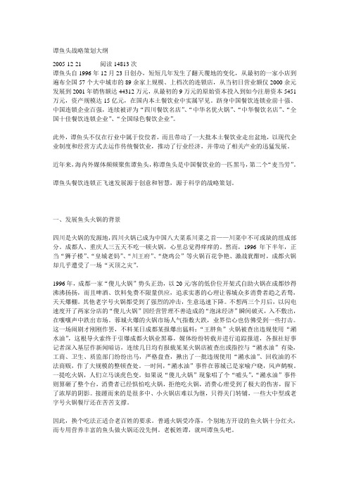 谭鱼头战略策划大纲