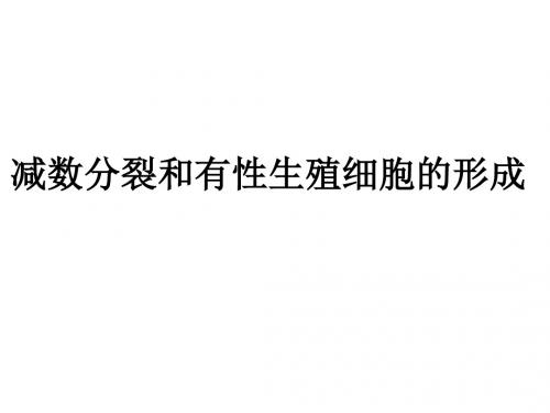高中生物减数分裂和有性生殖细胞的形成-104页精选文档