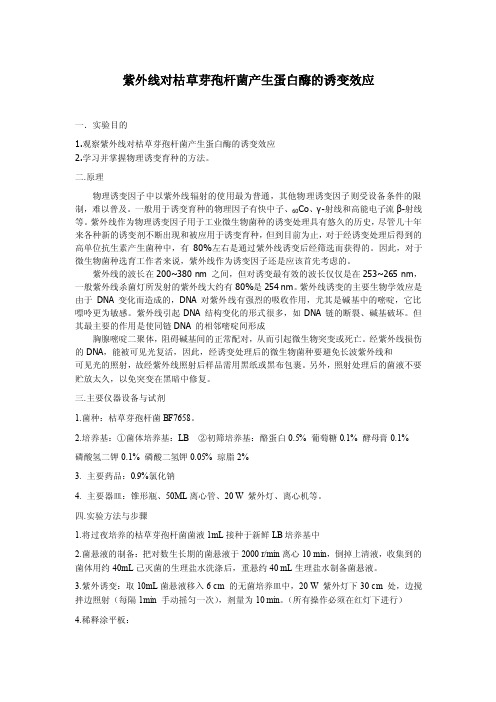 紫外线对枯草芽孢杆菌产生蛋白酶的诱变效应
