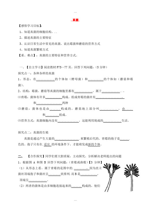 新编人教版八年级生物上册5.4.3真菌导学案