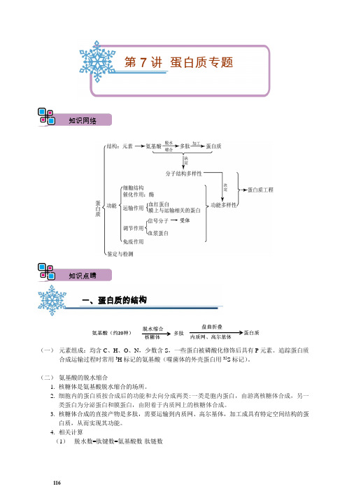 高三生物《蛋白质专题》