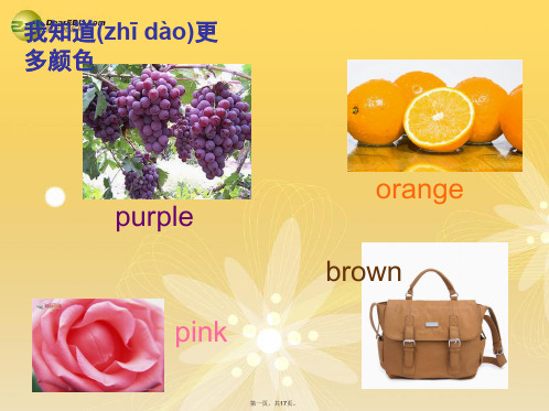 三年级英语下册 Unit4 Look at the Tshirts课件(1) 新版(湘少版)